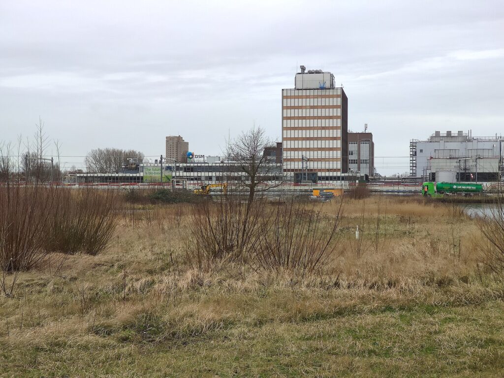 Het terrein van dsm-firmenich in Delft, onderdeel van de Biotech Campus Delft