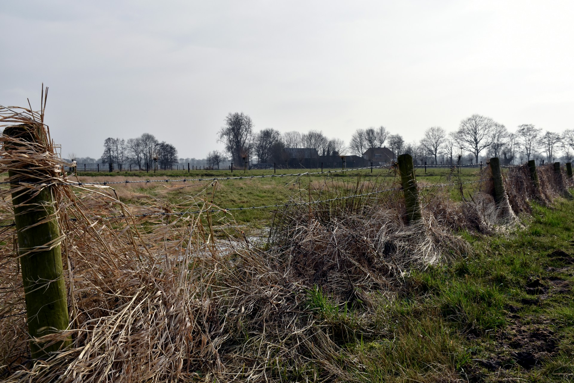 Open weiland aan de rand van een Nederlands dorp, potentiele bouwgrond voor woningbouw