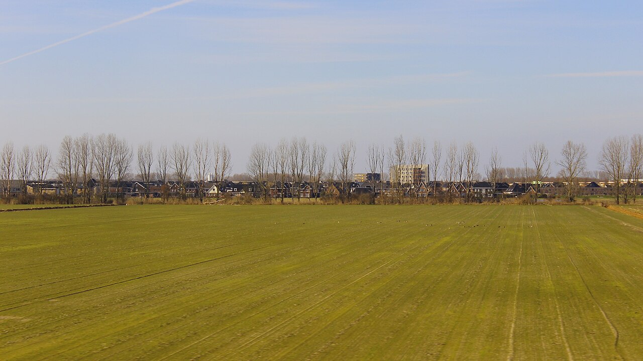Weiland met op de achtergrond de wijk Warande in Lelystad, waar het nieuwe stadsdeel Zuiderhage voor woningbouw in Lelystad komt