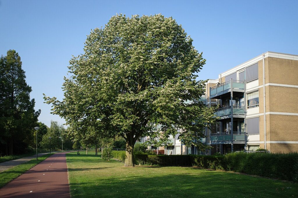 Wijkpark in het Haagse stadsdeel Laak met een grote boom, een fietspad en een flatgebouw